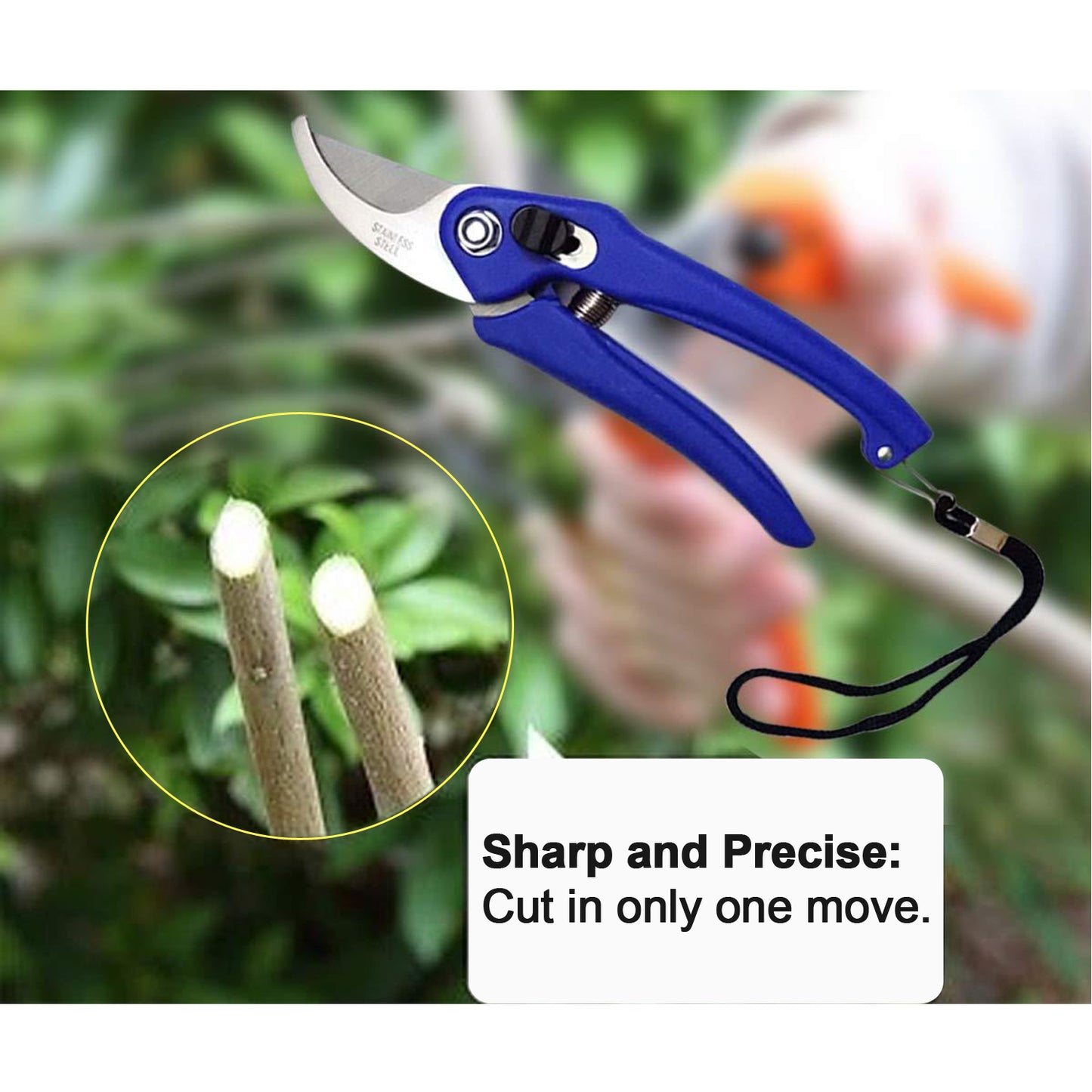 0465a Garden Shears Pruners Scissor For Cutting Branches Flowers Leaves Pruning Seeds - eazy cart store