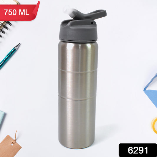 Steel Water Bottle  Fridge Water Bottle With Straw (750ml) - eazy cart store