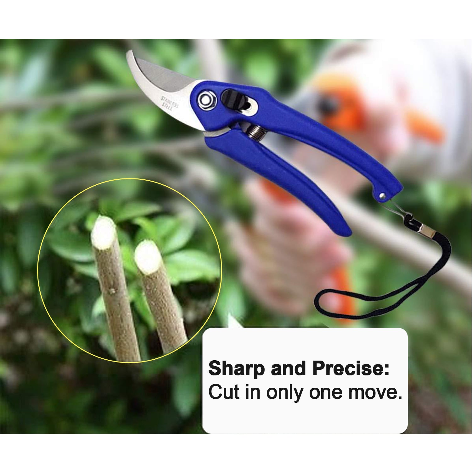 0465a Garden Shears Pruners Scissor For Cutting Branches Flowers Leaves Pruning Seeds - eazy cart store